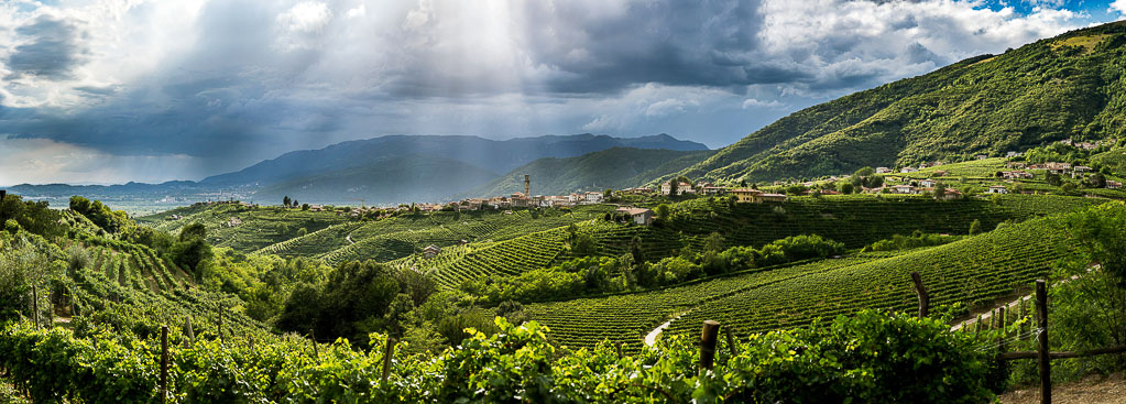 COLLINE DEL PROSECCO PATRIMONIO UNESCO: PRESIDENTE ZAIA, “È LA VITTORIA MERITATA E ATTESA DI UN INTERO TERRITORIO, DAL REGISTRO MONDIALE ORA NUOVE OPPORTUNITÀ DI SVILUPPO”