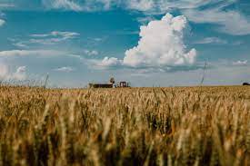 PICCOLE IMPRESE AGRICOLE SCHIACCIATE DALLA PANDEMIA, SAN MICHELE AL TAGLIAMENTO SCRIVE AL MINISTRO BELLANOVA