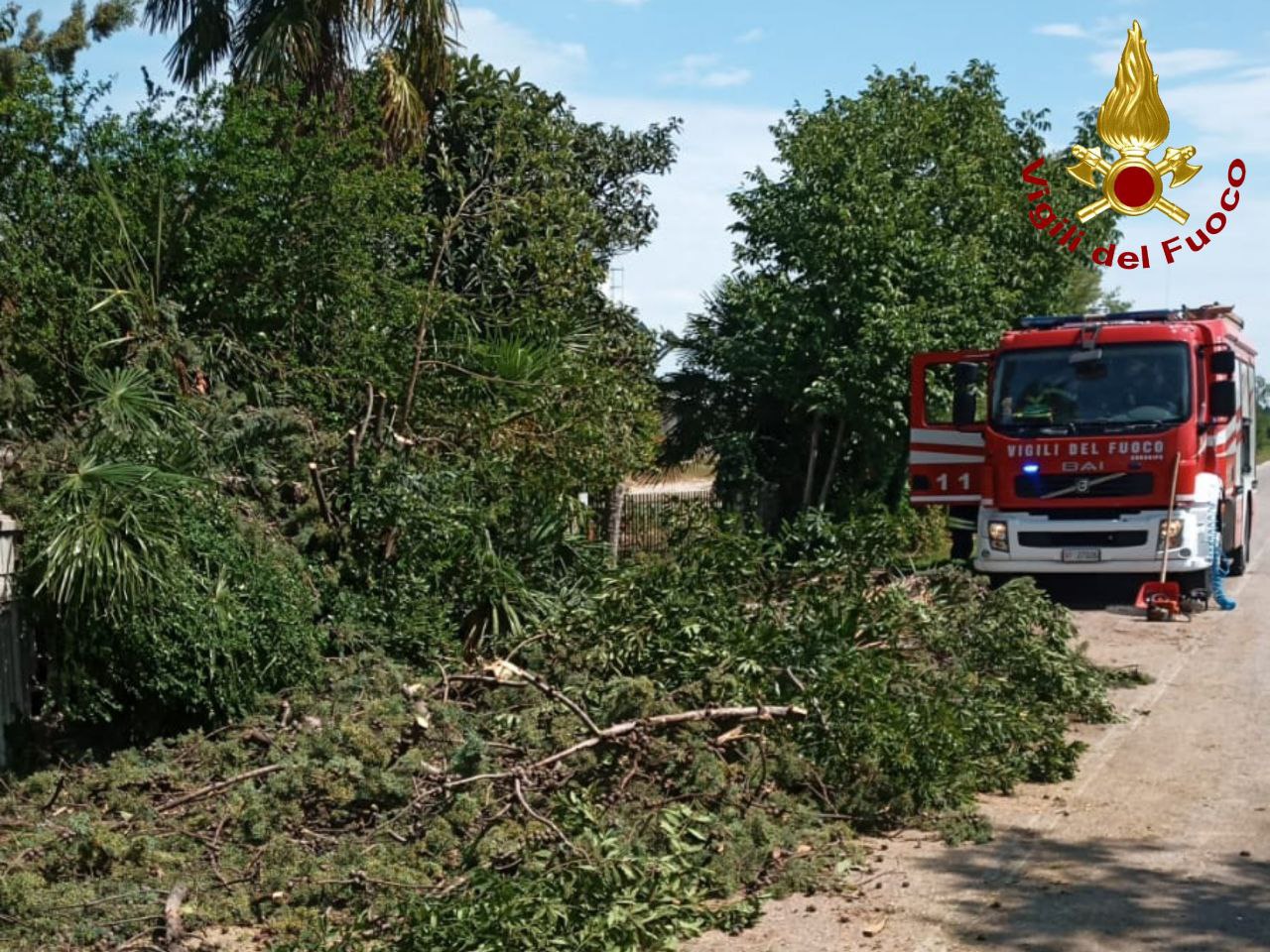 MALTEMPO A NORDEST: FORTI RAFFICHE DI VENTO E PIOGGIA NEL PORDENONESE 