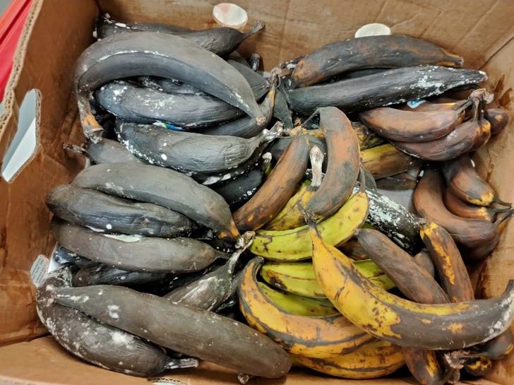 TREVISO: CIBO AVARIATO E SCADUTO, SANZIONATO UN ESERCENTE CON 6MILA EURO