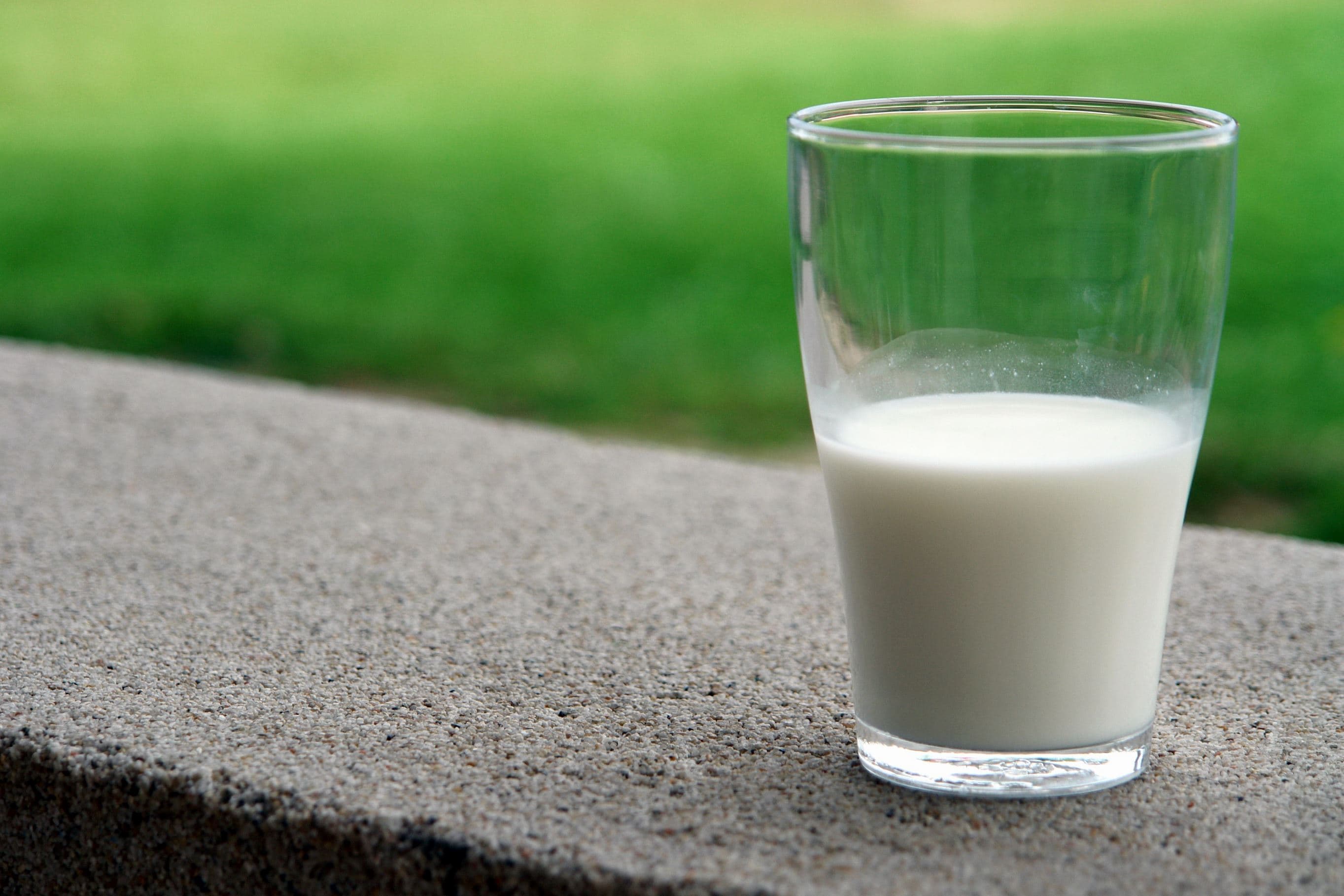 LATTE: REGIONE VENETO ESTENDE MARCHIO QV ANCHE A FORMAGGI E PRODOTTI LATTIERO-CASEARI