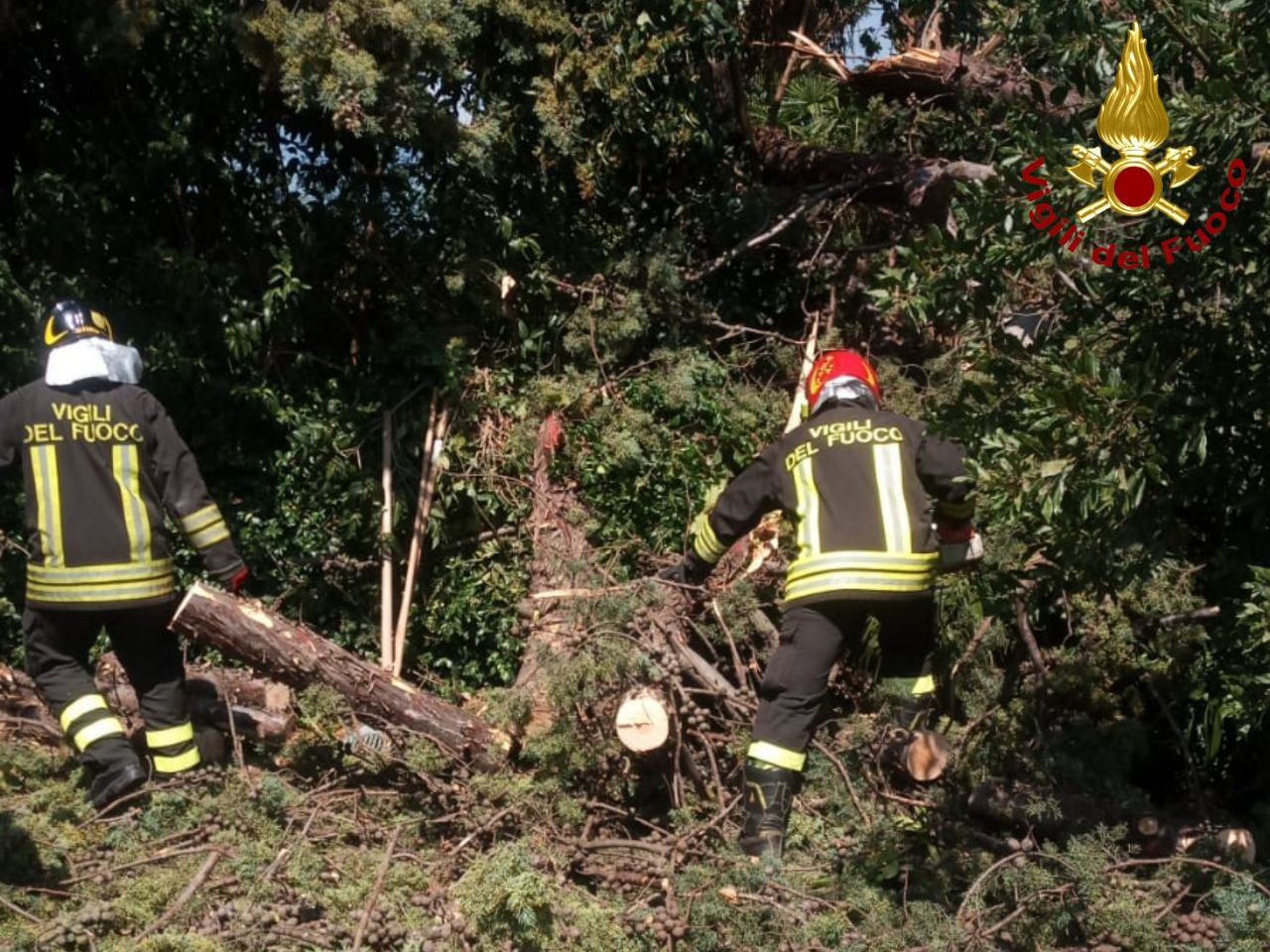 MALTEMPO NEL PORDENONESE: TETTI SCOPERCHIATI DI CASE E CAPANNONI, ALBERI DIVELTI E PALI DELLA LUCE DANNEGGIATI IN 4 COMUNI