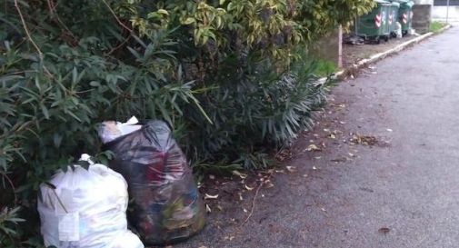 TREVISO: ABBANDONA LA BORSA DEI RIFIUTI PER STRADA, MULTATO CON 400 EURO